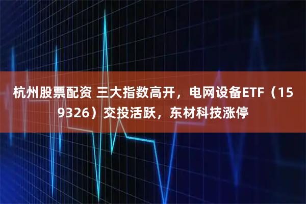 杭州股票配资 三大指数高开，电网设备ETF（159326）交投活跃，东材科技涨停
